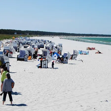 Ferienwohnung - Am Museumshof Zingst